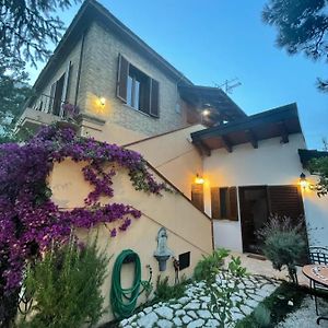 Casa Drema - Villa al mare con terrazza